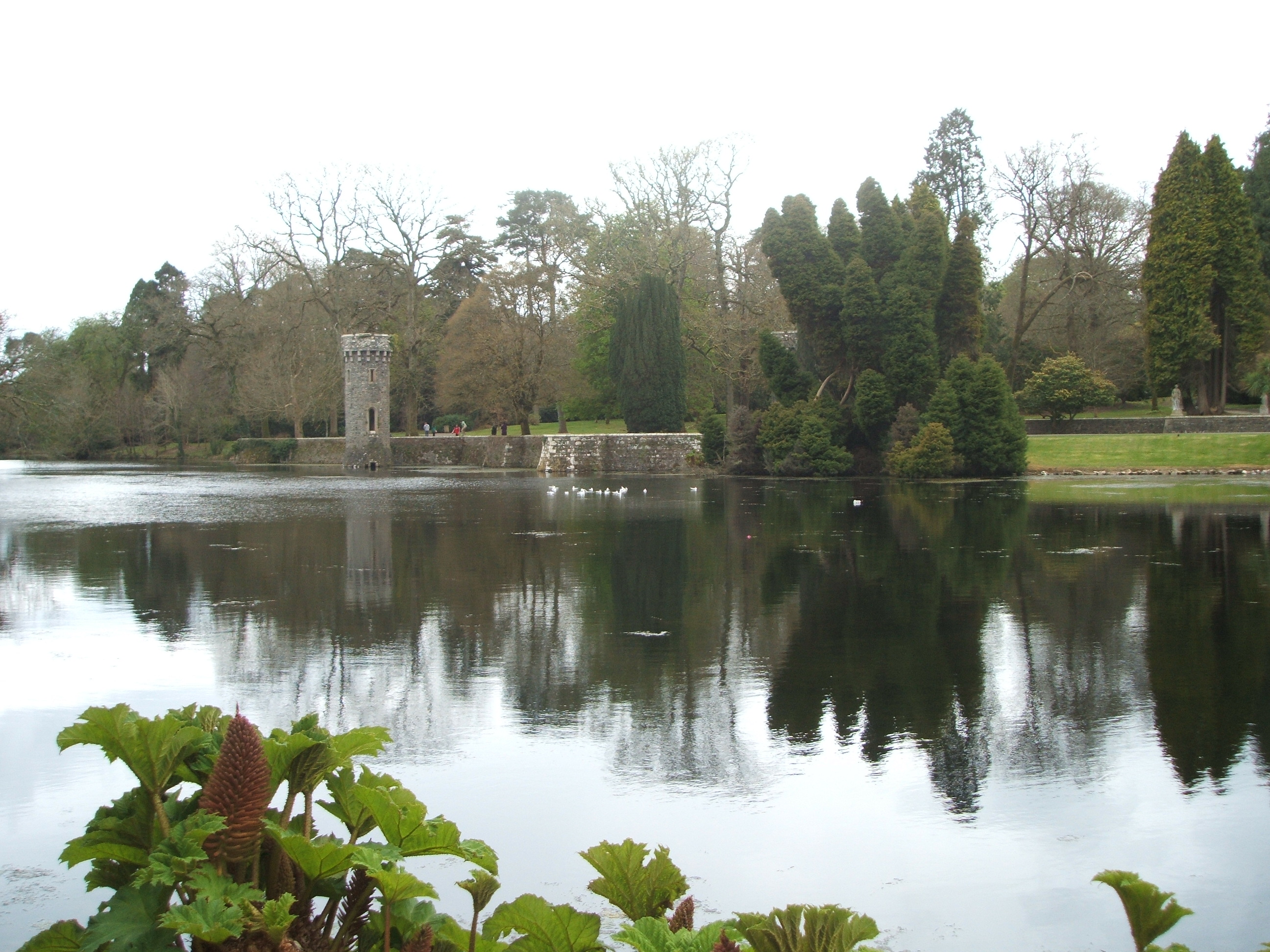 Cottages and outside views 016.jpg